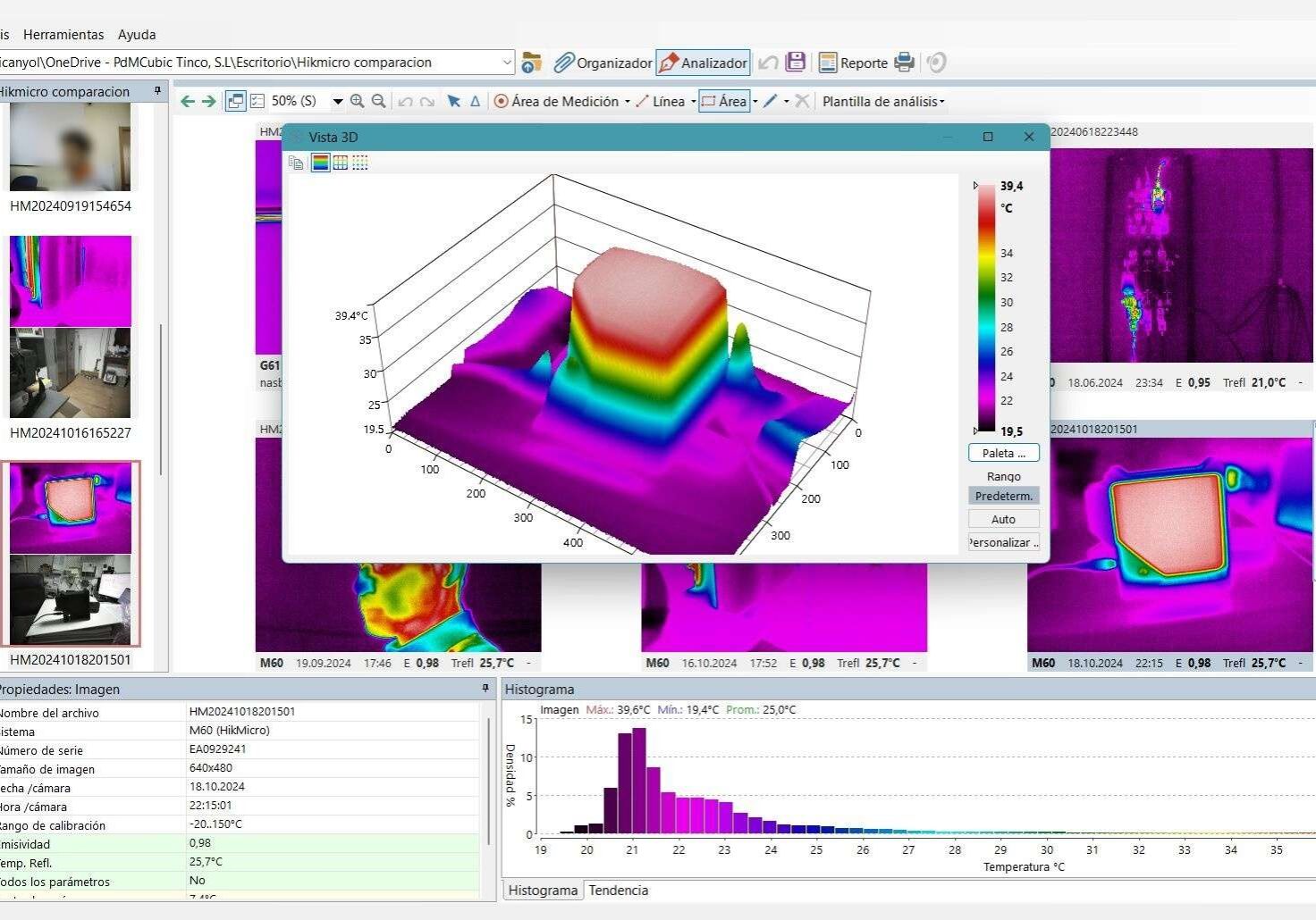 Termograma 3D